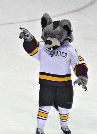 Skates Mates Kids Club  Chicago for Kids — Chicago Wolves